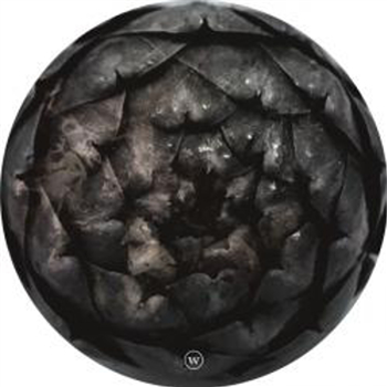 WET#1.0.0.2 - V.A. - Wet Cellar Records WET#1.0.0.2 - V.A. - Wet Cellar Records