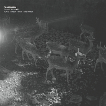 Cassegrain - Tiamat Remixes - Prologue Music Cassegrain - Tiamat Remixes - Prologue Music