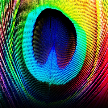 Osunlade - Peacock - Yoruba Records Osunlade - Peacock - Yoruba Records