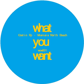 COSTIN RP - WHAT YOU WANT