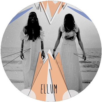 Shall Ocin v’s FiberRoot - Ellum Audio