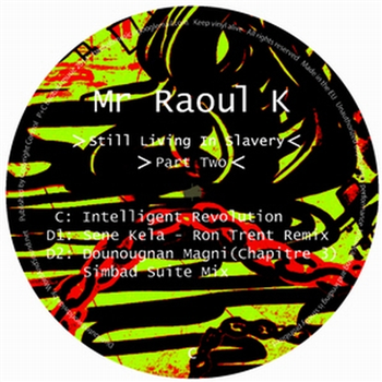 Mr Raoul K - Still Living In Slavery Part 2 - Baobab Music Mr Raoul K - Still Living In Slavery Part 2 - Baobab Music