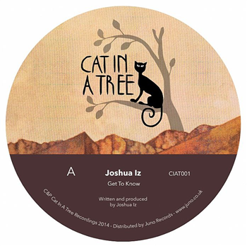 JOSHUA IZ / JAMIE ANDERSON - Cat In A Tree Recordings