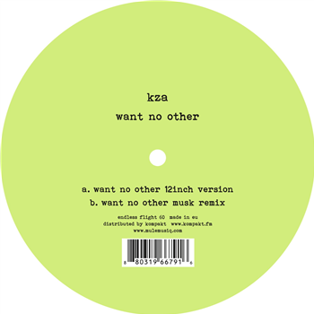 KZA - Want No Other - Endless Flight
