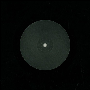 MAX M / FABRIZIO LAPIANA - 1002 (10") - M Rec Ltd