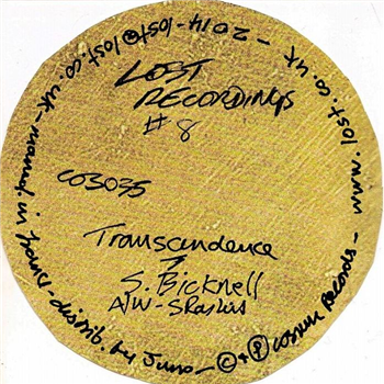 STEVE BICKNELL - Lost Recordings 8: Transcendence - Cosmic Records