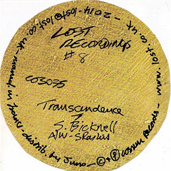 STEVE BICKNELL - Lost Recordings 8: Transcendence - Cosmic Records STEVE BICKNELL - Lost Recordings 8: Transcendence - Cosmic Records