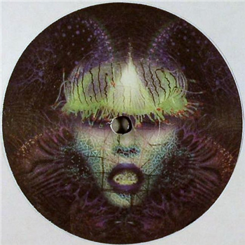 Jordan Lieb - Dear Suzanne - Superfreq Jordan Lieb - Dear Suzanne - Superfreq