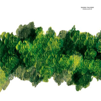 Gianni Calliipari - Modular EP - Cadenza Gianni Calliipari - Modular EP - Cadenza