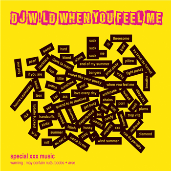 DJ W!LD - WHEN YOU FEEL ME EP - W!LD RECORDS