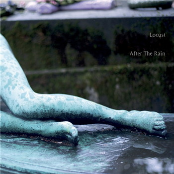 Locust -  After The Rain LP - Editions Mego