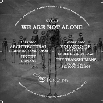 We Are Not Alone - Va - Fanzine Records