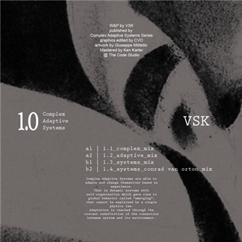 VSK - Complex Adaptive Systems 1.0 - Complex Adaptive Systems VSK - Complex Adaptive Systems 1.0 - Complex Adaptive Systems