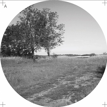 A5 - Fields & Forests 2 - Fields & Forests A5 - Fields & Forests 2 - Fields & Forests