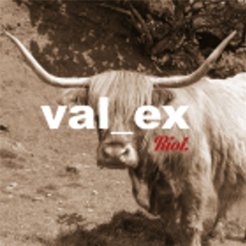VAL_EX - RIOT LP - SOLAR ONE MUSIC