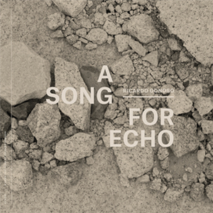 Ricardo Donoso - A Song for Echo LP - ReadyMade