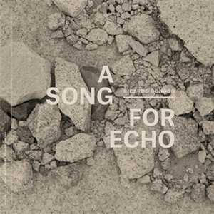 Ricardo Donoso - A Song for Echo LP - ReadyMade Ricardo Donoso - A Song for Echo LP - ReadyMade