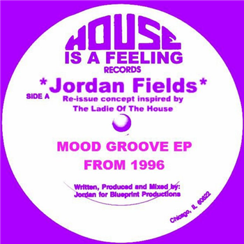 Jordan Fields - MOOD GROOVE EP - Trax