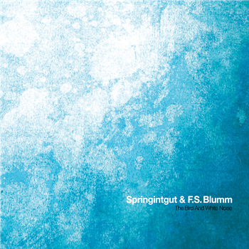 Springintgut & F.S.Blumm - The Bird and White Noise LP - Pingipung