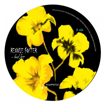 Rennie Foster - Melodymathics