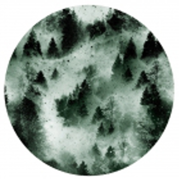 PVNV - CONSORTIUM EP - Taapion Records PVNV - CONSORTIUM EP - Taapion Records