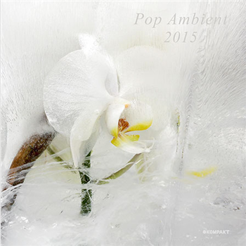 Pop Ambient 2015 - Va (Incl CD) - Kompakt