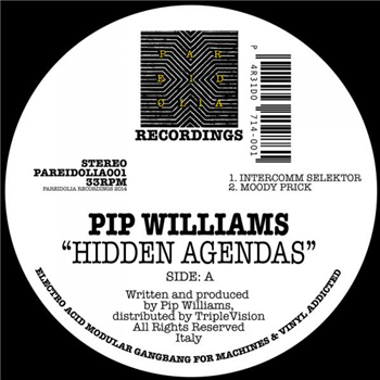 Pip Williams - Hidden Agendas EP - Pareidolia Recordings