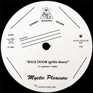 Tom Noble & Mystic Pleasure - Back Door (Getting Down) 1 Sided 12 *Repress - Superior Elevation
