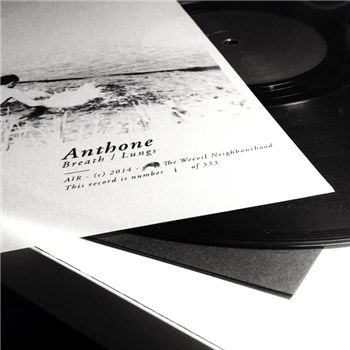 Anthone - Weevil Neighbourhood